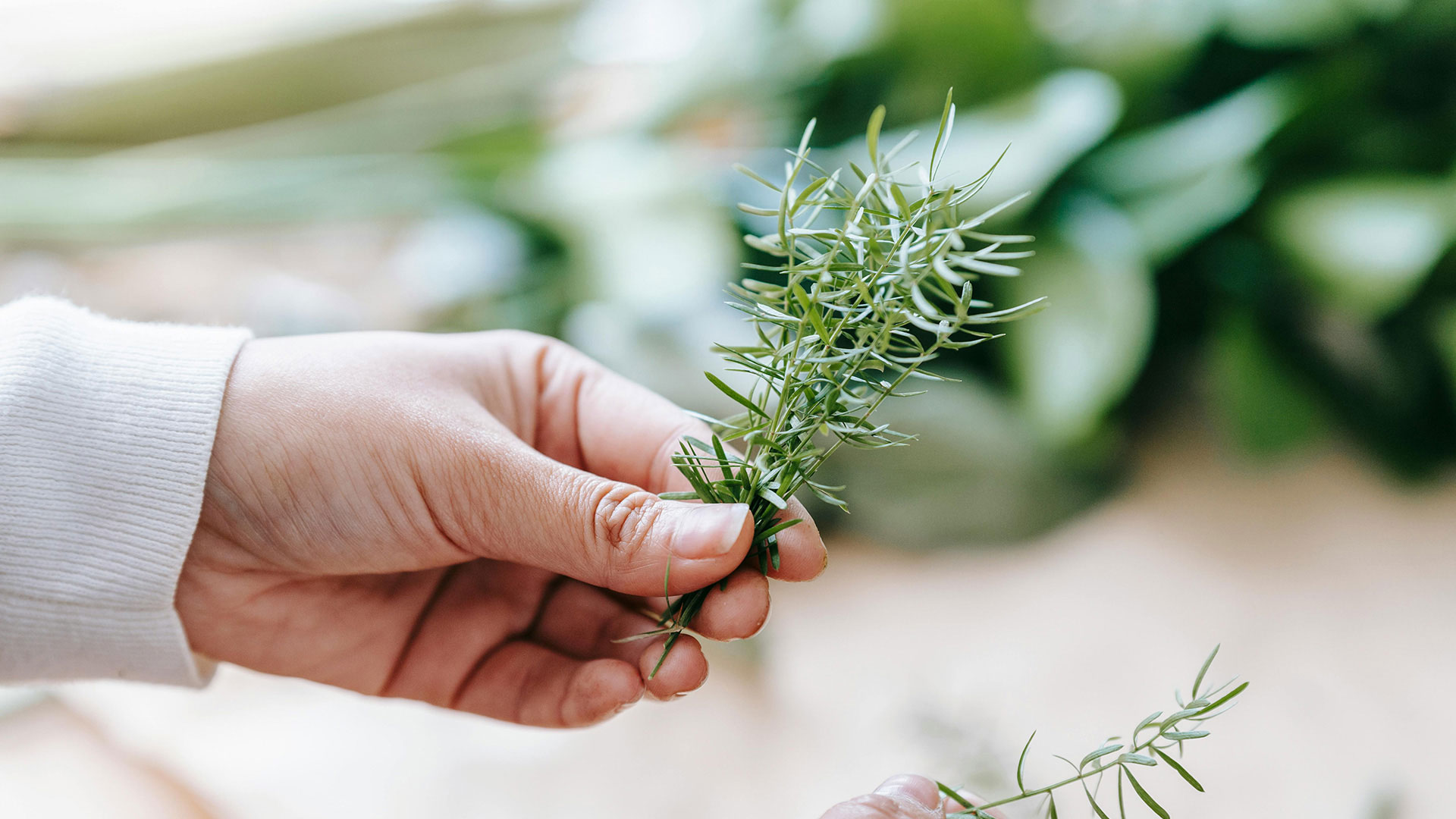 Aromatherapy Benefits