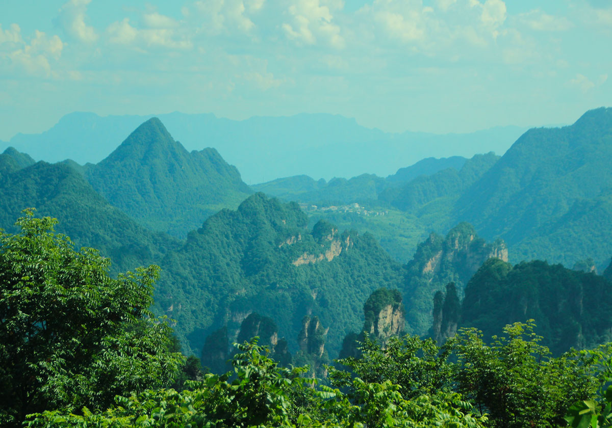 USDA Organic Journey