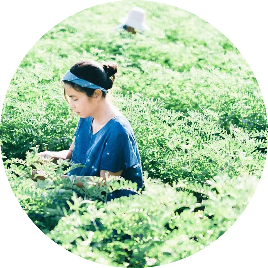 คุณจันทน์สุภา